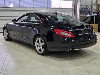 Mercedes CLS 250 CDI picture 6