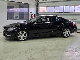 Mercedes CLS 250 CDI picture 2