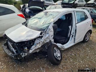 Uttjänta bilar auto Kia Picanto Picanto (JA), Hatchback, 2017 1.0 12V 2023/11