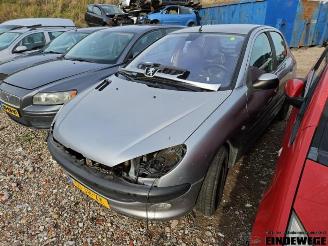  Peugeot 206 206 (2A/C/H/J/S), Hatchback, 1998 / 2012 1.4 XR,XS,XT,Gentry 2002/8
