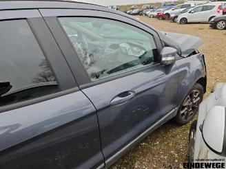 Ford EcoSport EcoSport (JK8), SUV, 2013 1.0 EcoBoost 12V 125 picture 18