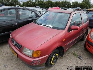 Auto da rottamare Volkswagen Polo Polo III (6N1), Hatchback, 1994 / 1999 1.3i 55 1995/1
