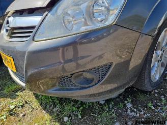 Opel Zafira Zafira (M75), MPV, 2005 / 2015 1.8 16V Ecotec picture 8