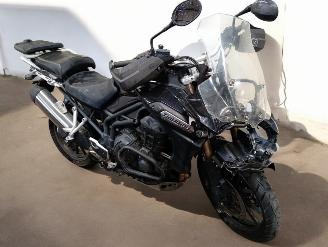 Triumph Tiger  picture 7