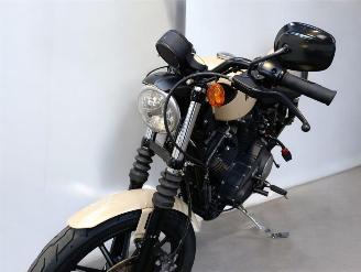 Harley-Davidson  IRON picture 19