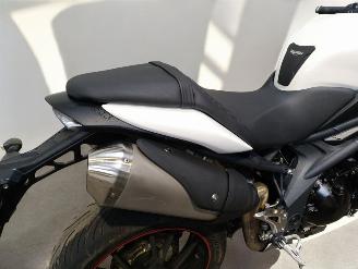 Triumph Speed Triple  picture 12