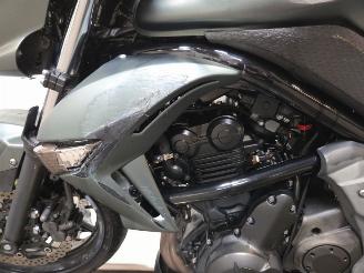 Kawasaki ER - 6 N  picture 18