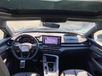 Cupra   picture 17