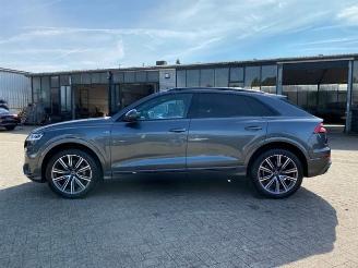 Audi Q8 50 TDI quattro S line *KAM - AHK - NAV - LED* picture 7