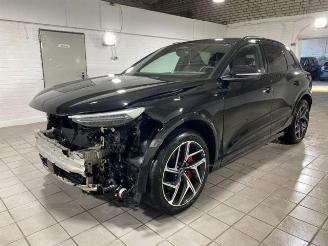 Audi SQ6 e-tron HUD/360/AHK/B&O/NAVI picture 13