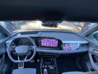 Audi SQ6 e-tron HUD/360/AHK/B&O/NAVI picture 22