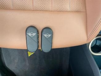 Mini Countryman E HUD/PANO/360/AHK/H&K/NAVI picture 24