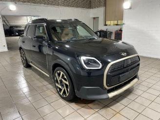 Mini Countryman E HUD/PANO/360/AHK/H&K/NAVI picture 10