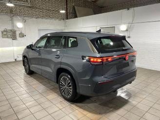 Schadeauto Volkswagen Tayron 2.0 TDI DSG 4Motion Life 7-Sitz AHK/360 2025/9