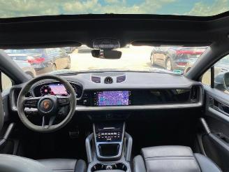 Porsche Cayenne S E-Hybrid Coupe CHRONO/PANO/HUD/AHK/360 picture 15