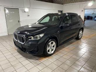 BMW X1 sDrive20i M Sport PANO/AHK/KAM/H&K/NAVI picture 3