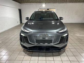 Audi Q6 e-tron Performance S line AHK/KAM/NAVI picture 6