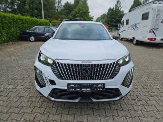 Peugeot 2008  picture 10
