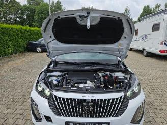 Peugeot 2008  picture 11