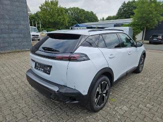 Peugeot 2008  picture 6