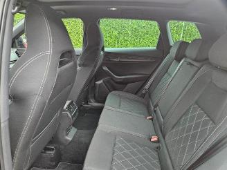 Skoda Karoq 1.5 TSI DSG Sportline PANO/AHK/KAM/NAVI picture 15