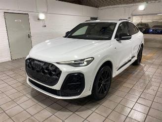 Audi Q5 Sportback e-Hybrid 220kW S line 360/NAVI picture 6
