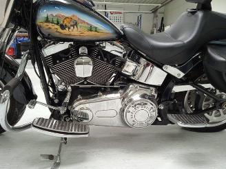 Harley-Davidson Fat Boy Custom Bison FLSTF picture 17