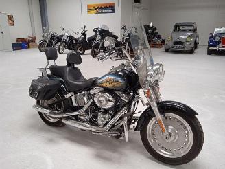 Harley-Davidson Fat Boy Custom Bison FLSTF picture 9