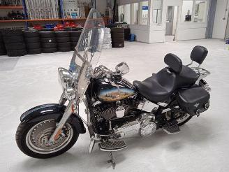 Harley-Davidson Fat Boy Custom Bison FLSTF picture 15
