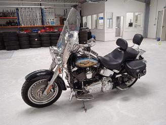 Harley-Davidson Fat Boy Custom Bison FLSTF picture 2