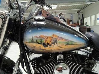 Harley-Davidson Fat Boy Custom Bison FLSTF picture 16
