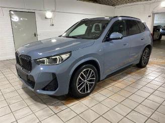 BMW iX1 xDrive30 M Sport HUD/KAM/PANO picture 2