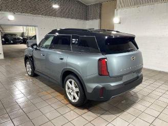 Mini Countryman S ALL4 HUD/360/H&K/NAVI picture 10