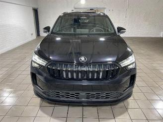 Skoda Kodiaq iV 1.5 TSI e-Hybrid Sport PANO/AHK/KAM picture 11