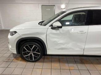 Volkswagen Tayron 2.0 TDI DSG 4M Elegance Pano / 7-Sitzer picture 13