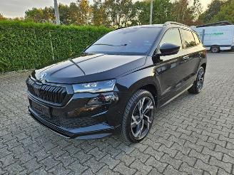  Skoda Karoq Sportline 4x4 2.0 TFSI PANO/360/NAVI 2024/11