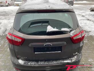 Ford C-Max C-Max (DXA), MPV, 2010 / 2019 1.0 Ti-VCT EcoBoost 12V 125 picture 6