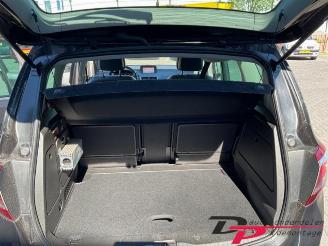 Opel Meriva Meriva (B), MPV, 2010 / 2017 1.6 CDTI 16V picture 20