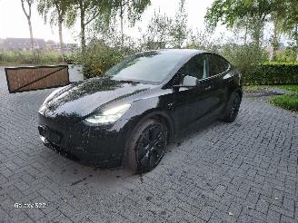 Avarii autoturisme Tesla Model Y Model Y Long Range RWD Panorama Autopilot VOL!! 2025/2