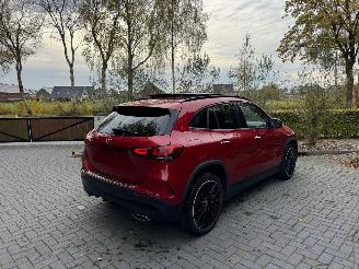 Mercedes GLA Mercedes-Benz GLA 250 e Panoramadach Camera Ambiance VOL! picture 2