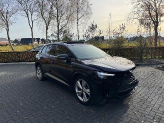 Audi Q4 Audi Q4 E-tron 40e S-Line Panorama Camera LED VOL picture 24