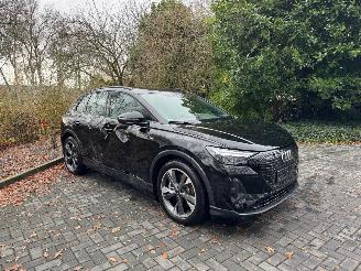 Audi Q4 Q4 e-tron 45 e-tron Quattro Camera Ambiance 2025 picture 24