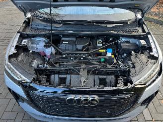 Audi Q4 Q4 e-tron Sportback 55 e-tron Quattro HUD 360view VOL picture 27