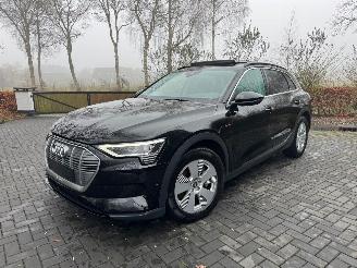 škoda osobní automobily Audi E-tron Audi E-tron 55 Quattro S-Line Panorama Leder Trekhaak VOL 2021/9