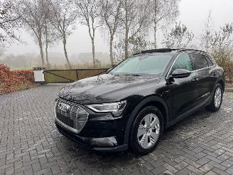 Audi E-tron Audi E-tron 55 Quattro S-Line Panorama Leder Trekhaak VOL picture 18
