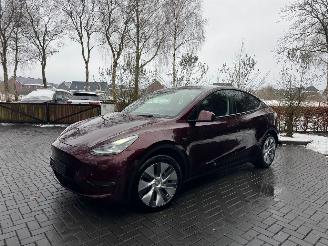  Tesla Model Y Tesla Model Y Long Range Dual AWD Panoramadak Camera Autopilot VOL 2024/3