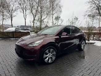 Tesla Model Y Tesla Model Y Long Range Dual AWD Panoramadak Camera Autopilot VOL picture 7