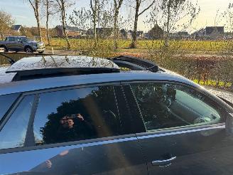 Audi Q2 Audi Q2 35 TFSI S line PANO CAMERA AHK Ambiance 2025 picture 10