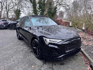 Audi E-tron Audi Q8 e-tron 55 Quattro S line PANO Camera Virtual Mirrors VOL!! picture 19