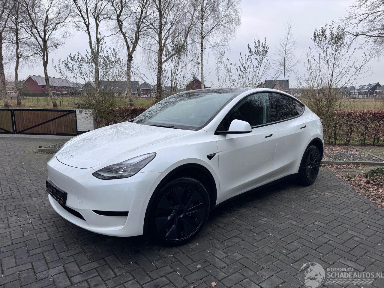 Tesla Model Y Tesla Model Y Long Range RWD PANORAMA Autopilot VOL